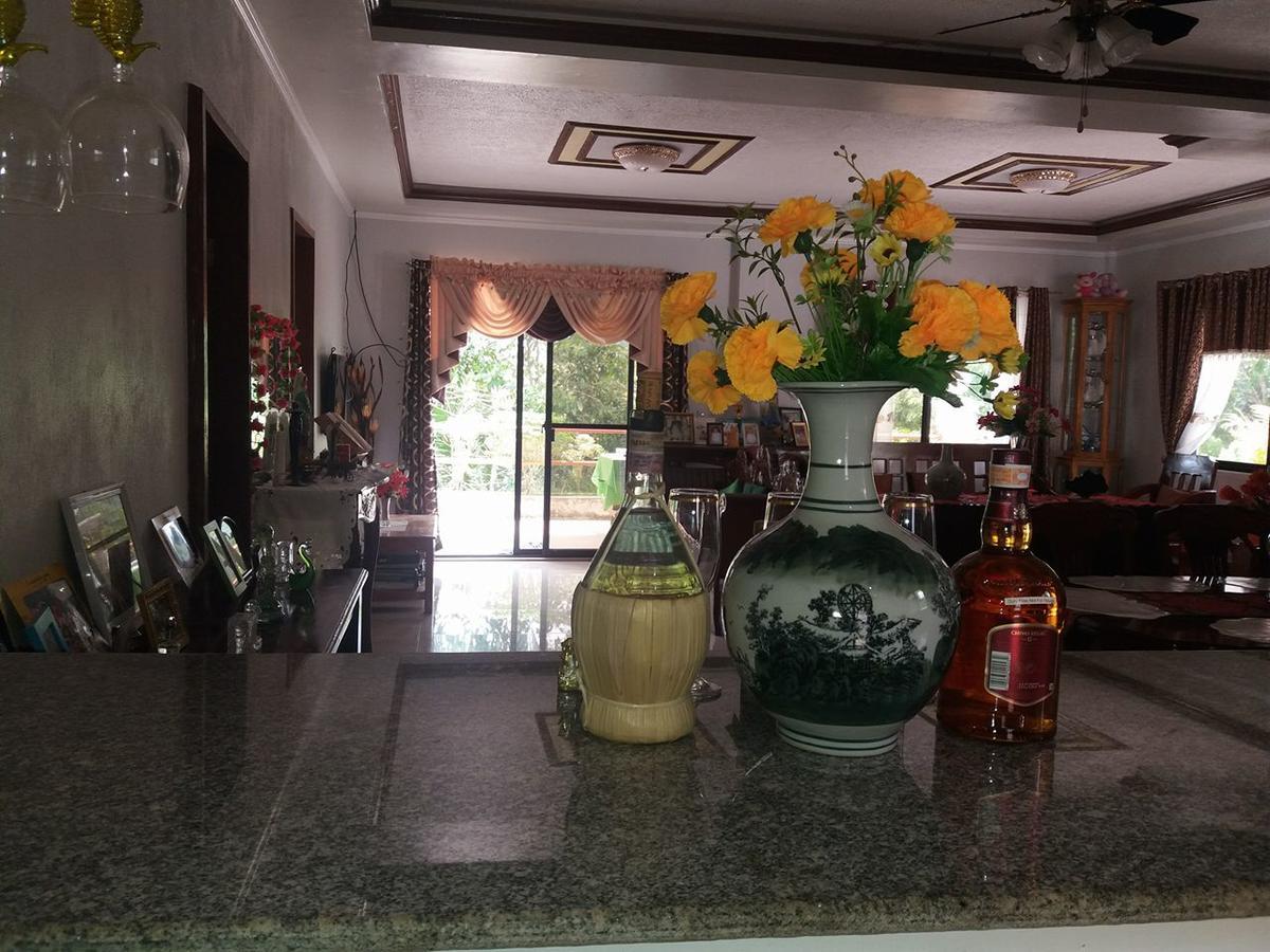 Villa Feliza Loboc Exteriér fotografie